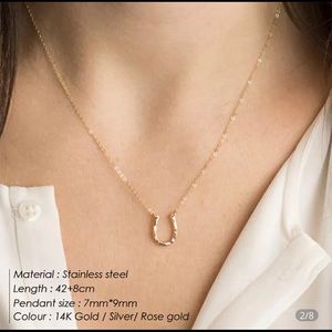 - 🌟HOST PICK🌟New Stainless Steel Horseshoe Necklace